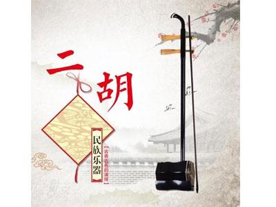 招聘临沂二胡家教老师